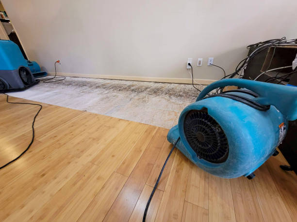 Professional Water Damage Repair technician working in Bowie, MD